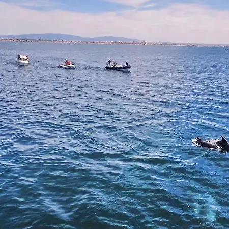 Vakantiehuis Saona By Algarve Vacation Albufeira